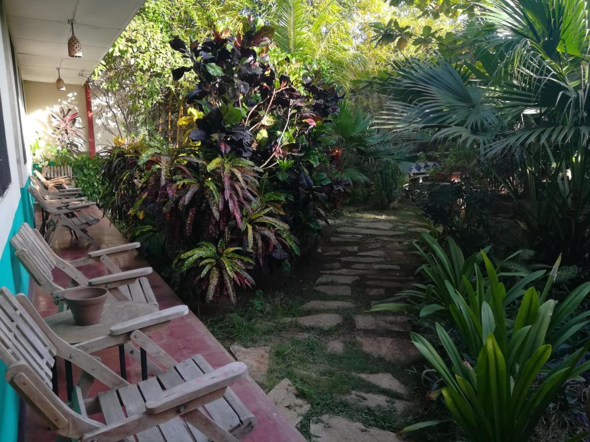 Hostal Harvest House León المظهر الخارجي الصورة