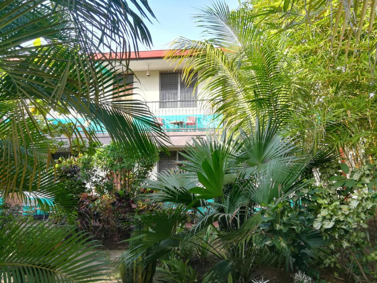 Hostal Harvest House León المظهر الخارجي الصورة
