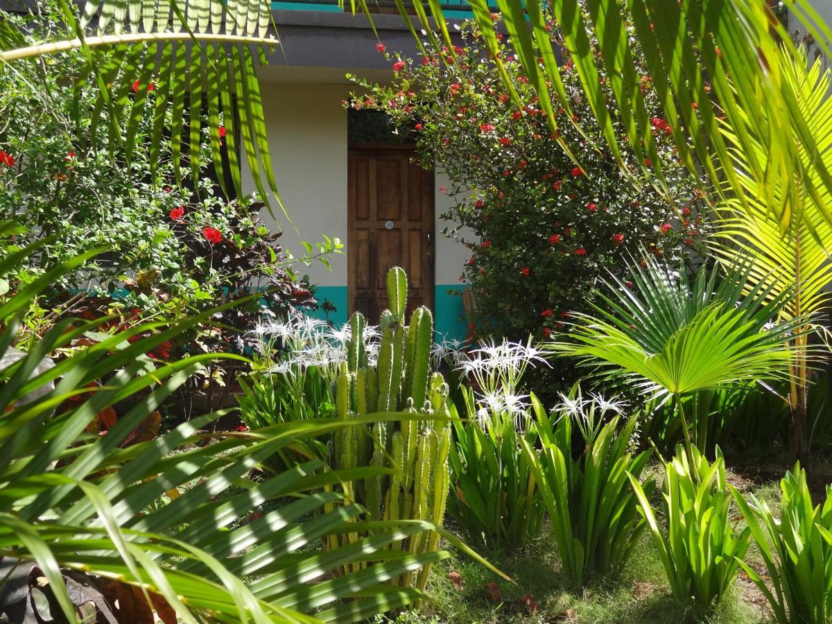 Hostal Harvest House León المظهر الخارجي الصورة