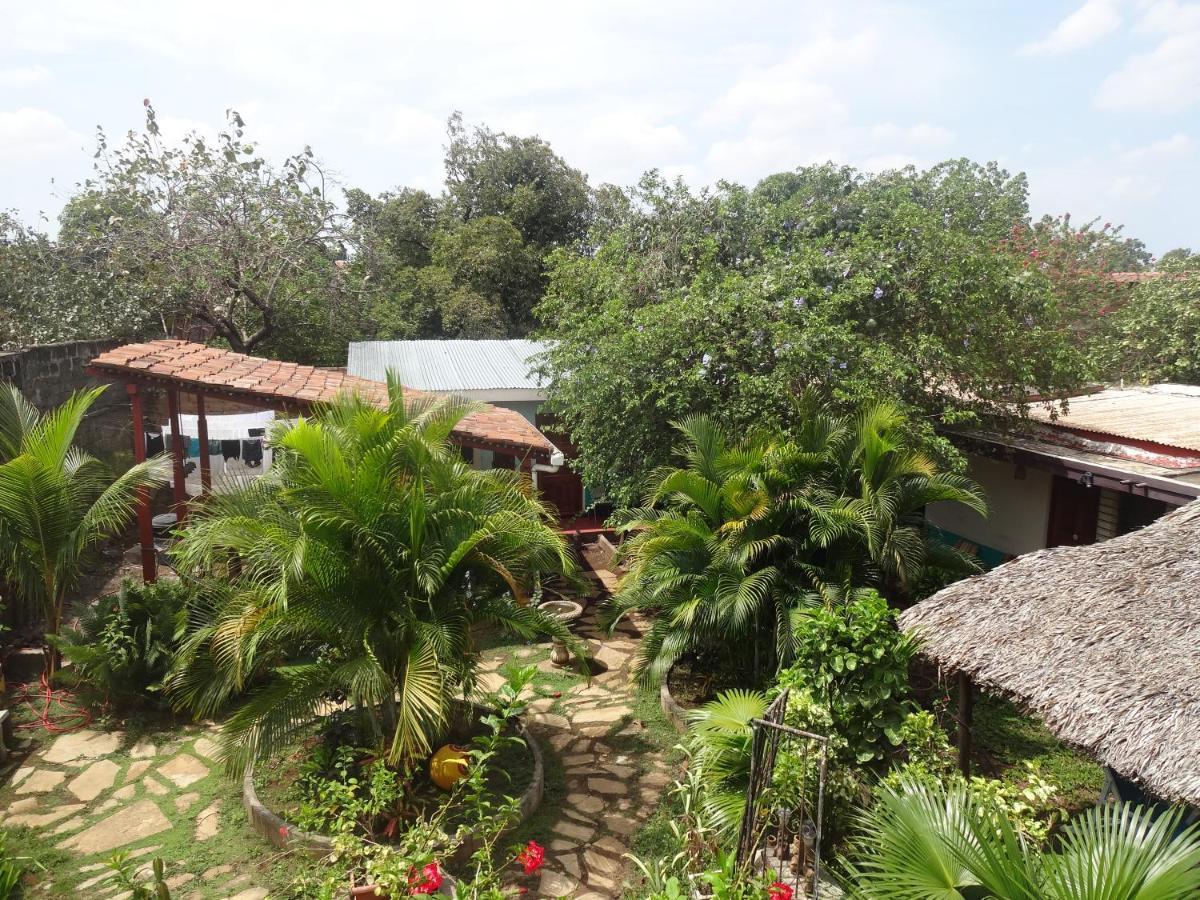 Hostal Harvest House León المظهر الخارجي الصورة